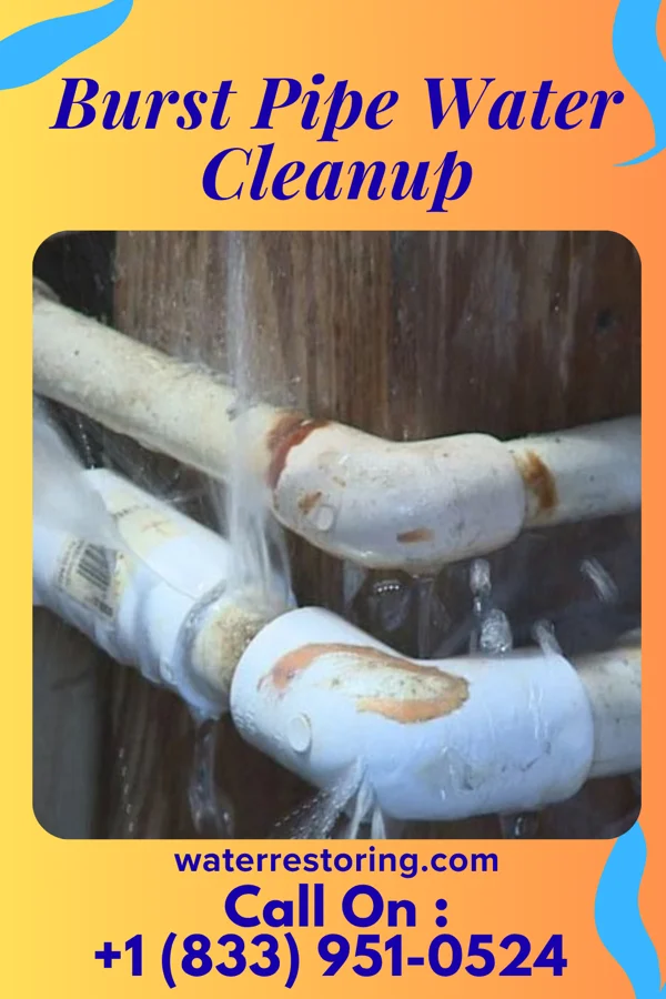 Burst Pipe Water Cleanup in Shepherdstown, WV
