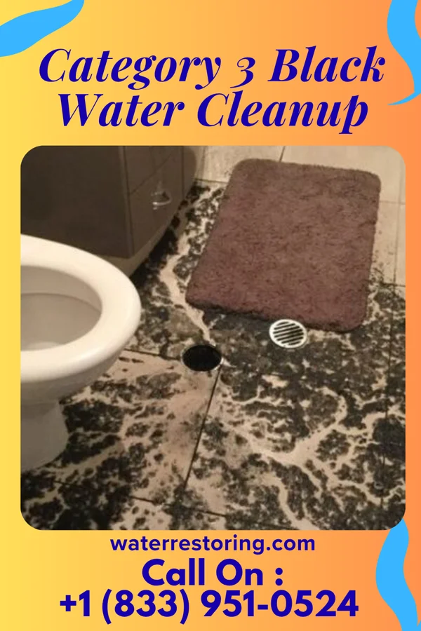 Category 3 Black Water Cleanup in Shepherdstown, WV