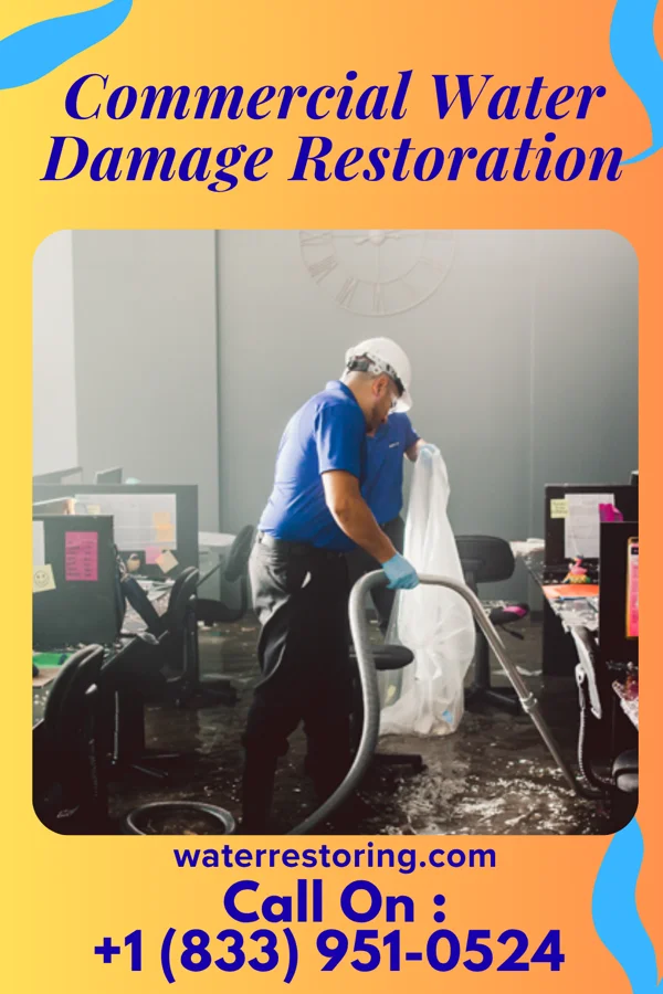 Commercial Water Damage Restoration in Shepherdstown, WV