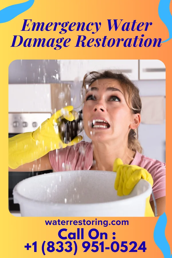 Emergency Water Damage Restoration in Shepherdstown, WV
