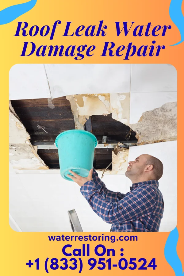 Roof Leak Water Damage Repair in Shepherdstown, WV