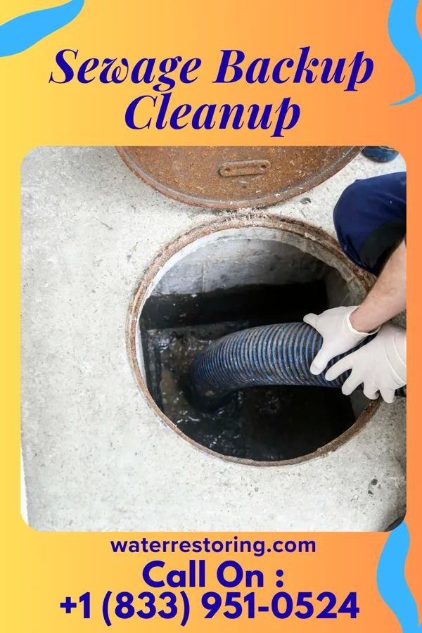 Sewage Backup Cleanup in Shepherdstown, WV