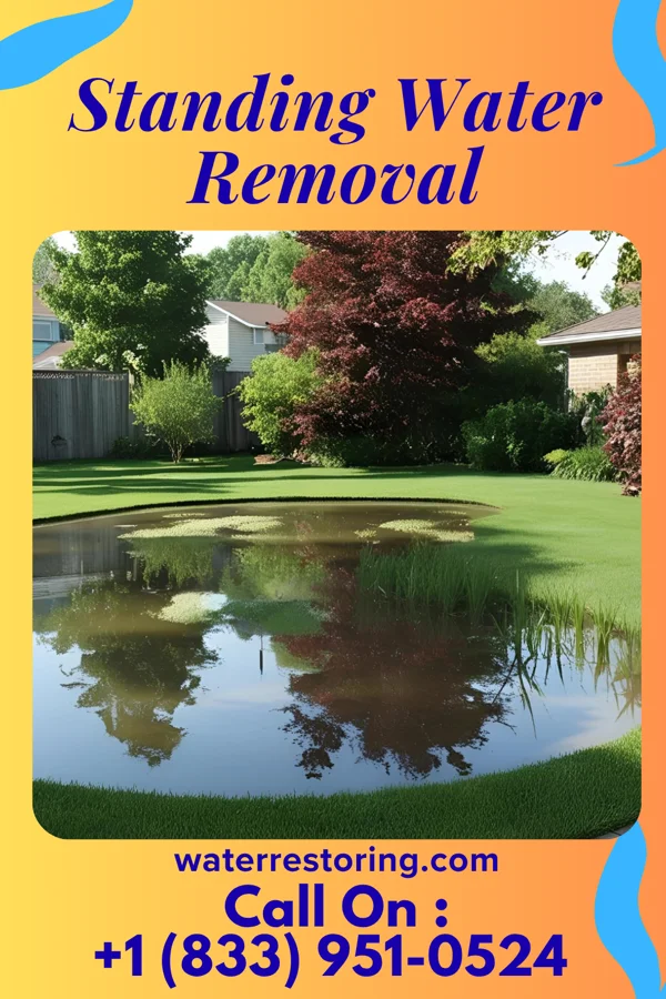Standing Water Removal in Shepherdstown, WV